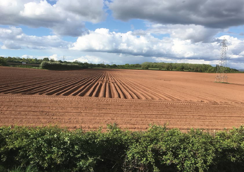 Ploughed